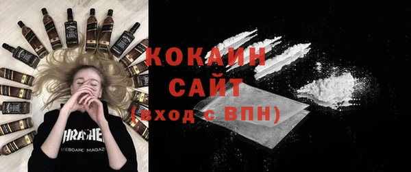 ECSTASY Дмитриев