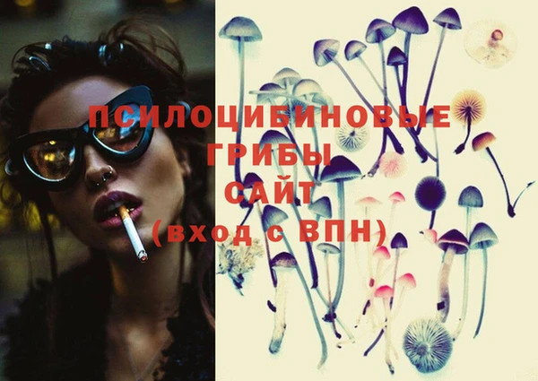 ECSTASY Дмитриев