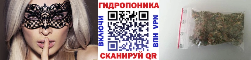 блэк спрут tor  Новомосковск  Канабис индика 